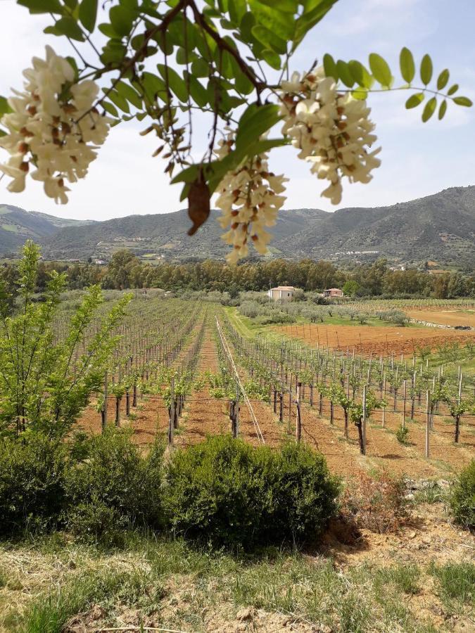 Sa Perda Arrubia Villa Cardedu Dış mekan fotoğraf