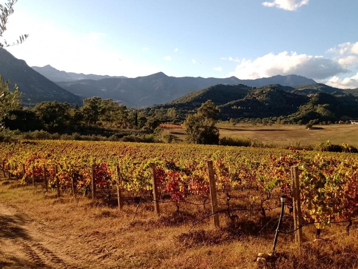 Sa Perda Arrubia Villa Cardedu Dış mekan fotoğraf