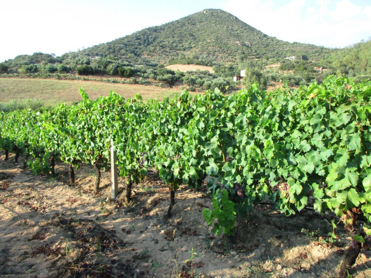 Sa Perda Arrubia Villa Cardedu Dış mekan fotoğraf